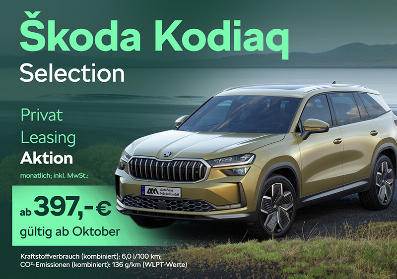 Skoda Kodiaq Selection Privatleasing